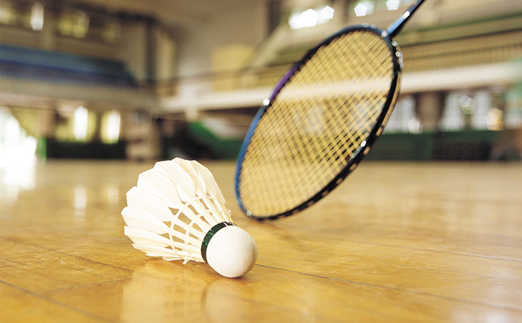 柞木排球館木地板結(jié)構(gòu)