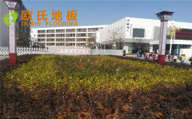 安徽懷寧室內籃球館木地板案例