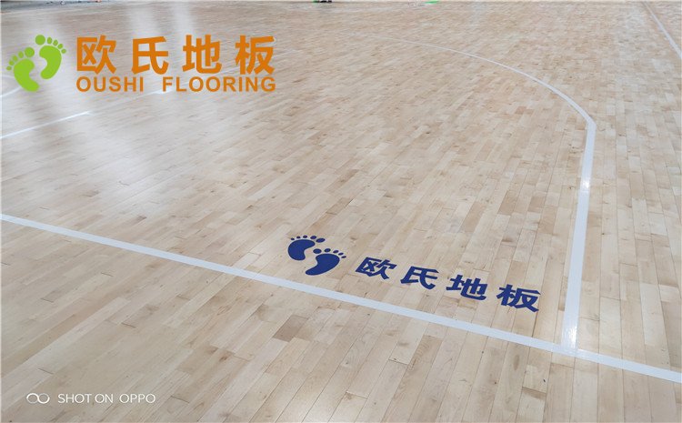 西寧市世紀職業(yè)技術(shù)學?；@球訓練館木地板圖片